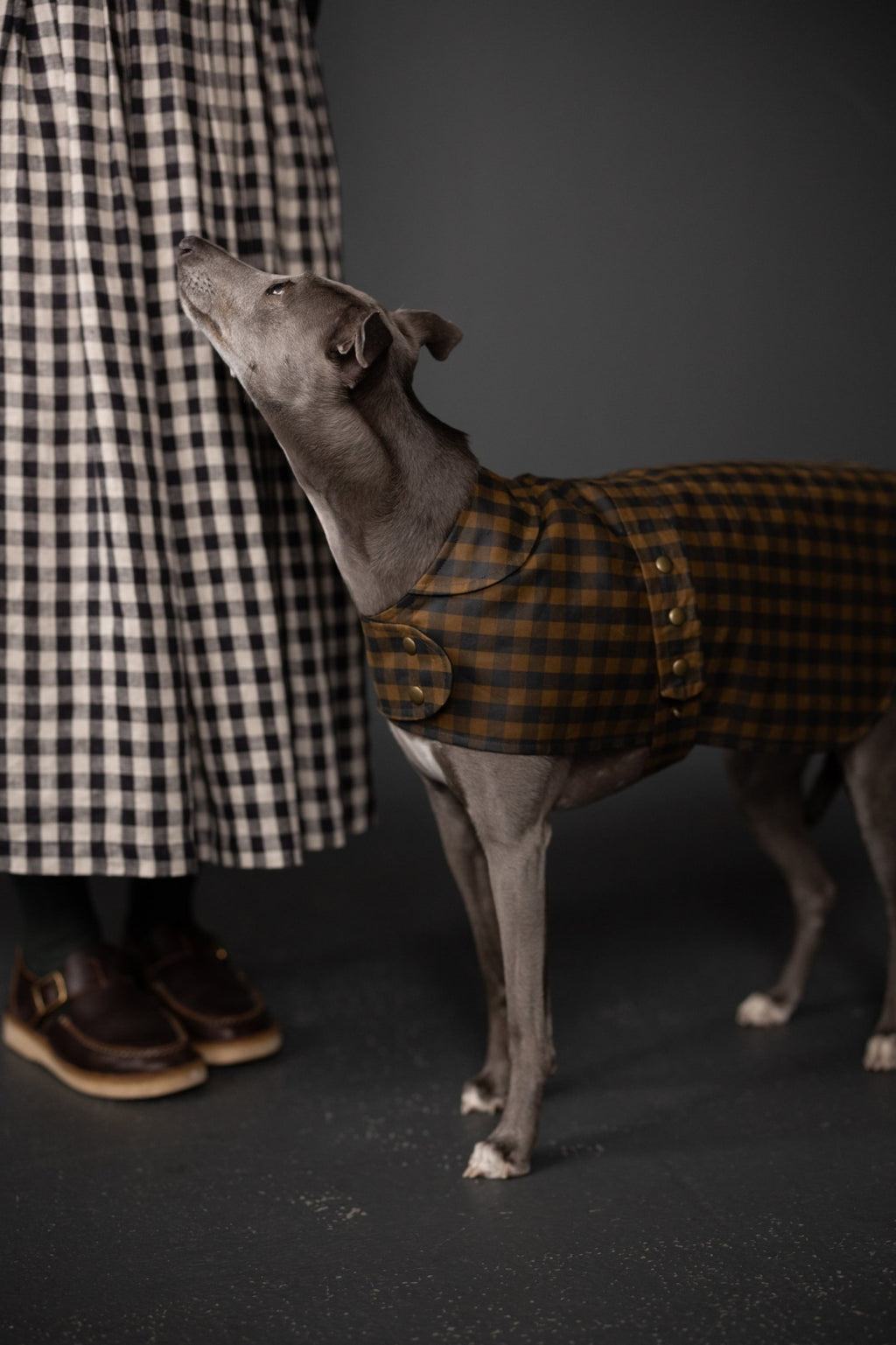 The Barka Dog Coat