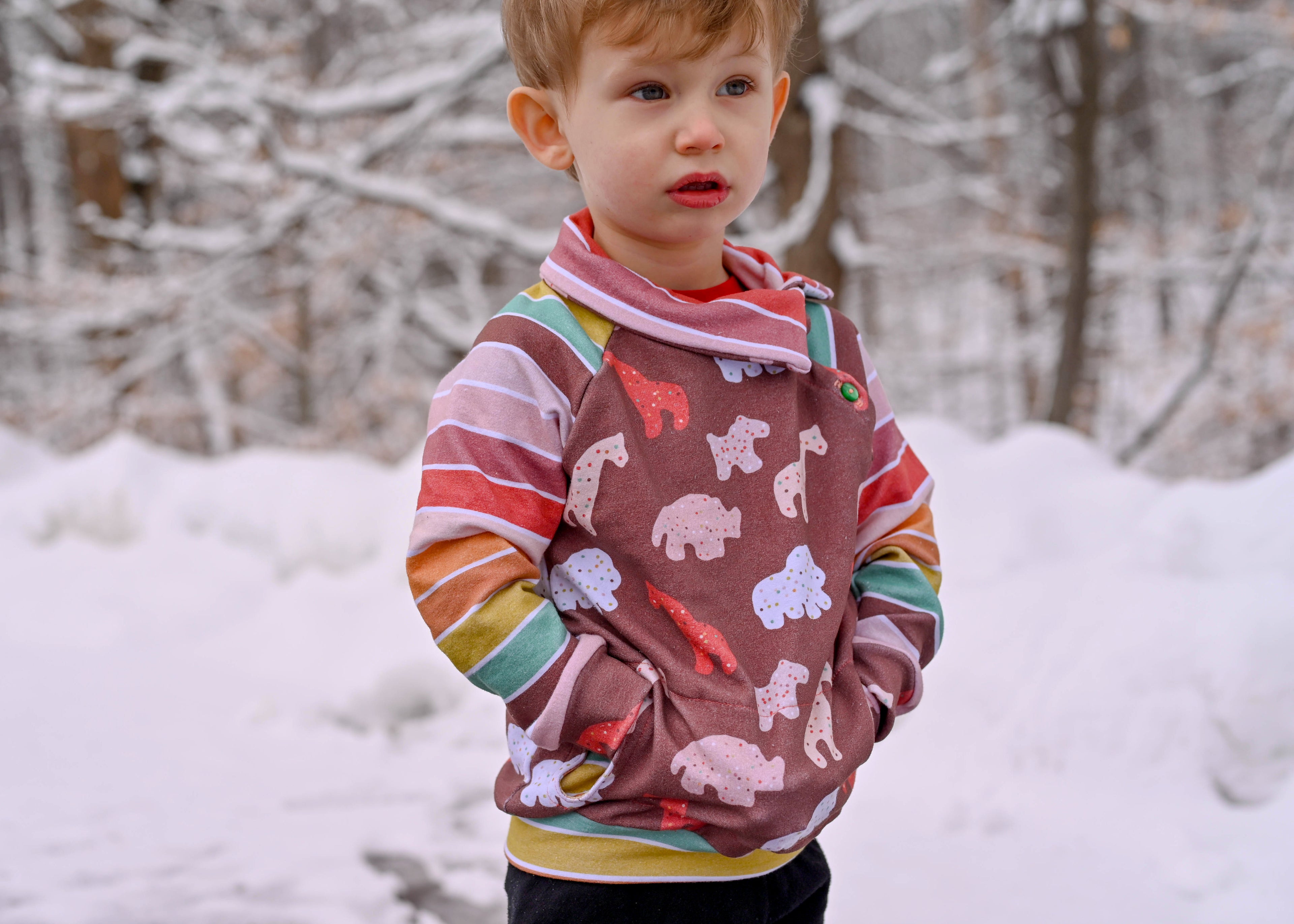 Adventurer Raglan Sweatshirt